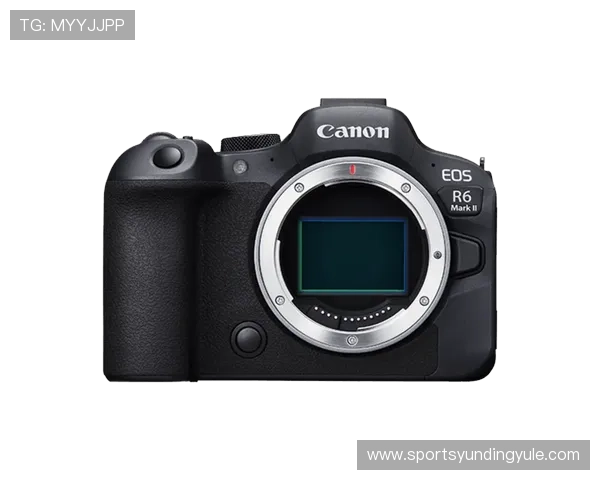 云顶4008游戏官网最新资讯与活动全面解析，助您轻松掌握游戏动态