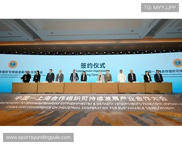 yd云顶集团官网合作伙伴关系深度解析推动平台共同发展与合作共赢