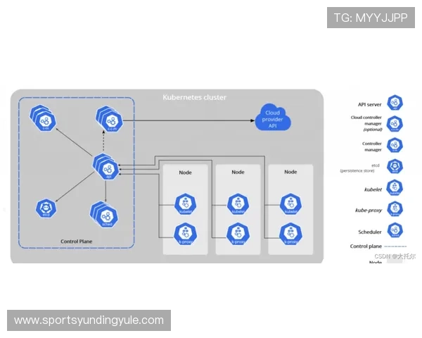云顶集团有限公司的财务管理与风险控制体系分析