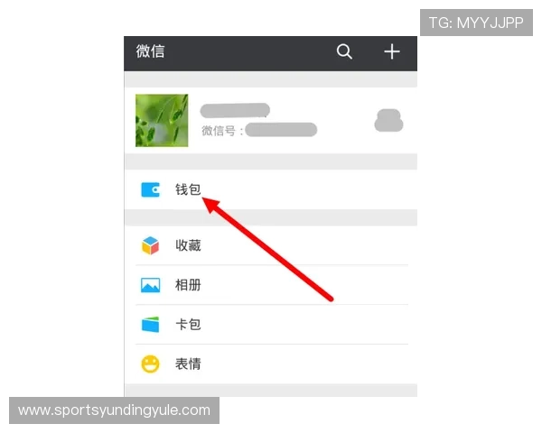 云顶官网入口官方入口地址查询，提供详细操作流程和注意事项
